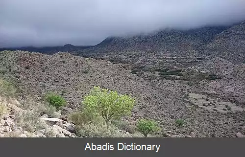 عکس زیارت شاه