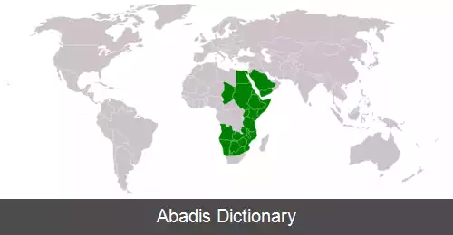 عکس سنگالیا ملیفرا