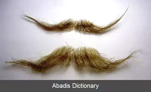 عکس سبیل مصنوعی