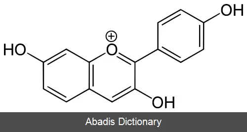 عکس گوئی بورتیندین