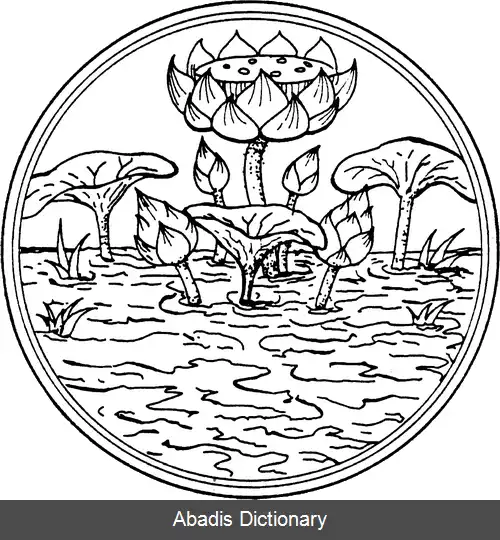 عکس استان اوبون راتچاتانی