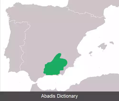 عکس وزغ مامای بتیک