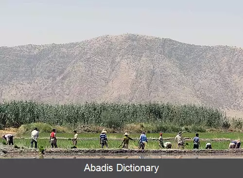 عکس منصورآباد علیا