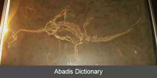 عکس سرسیوسور