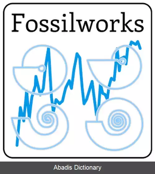 عکس فسیل ورکس