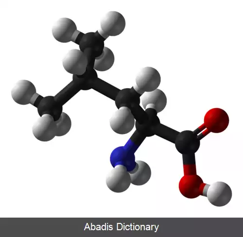 عکس لوسین (اسید آمینه)