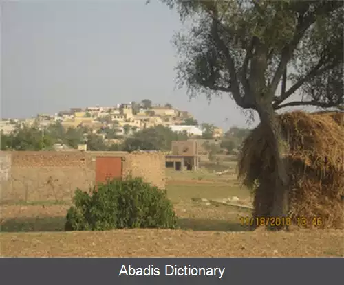 عکس دندوت