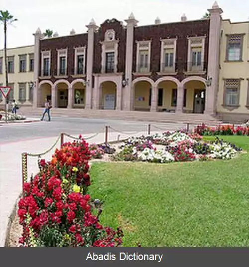 عکس ارموسییو