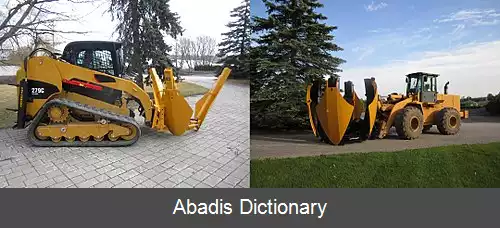 عکس درخت کن