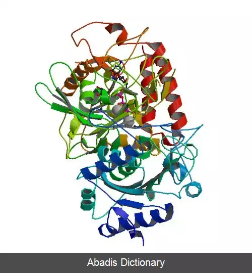 عکس فسفوئنول پیرووات کربوکسی کیناز