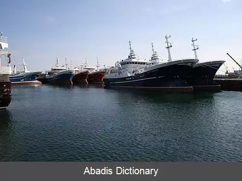 عکس فریزربرگ