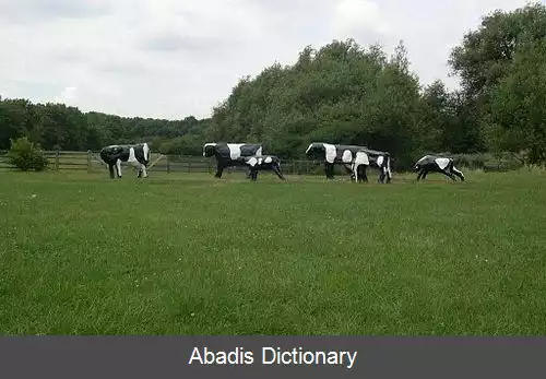 عکس استنتونبری