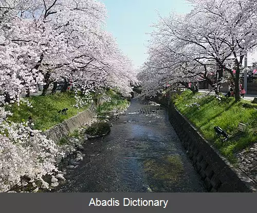 عکس رود گوجو