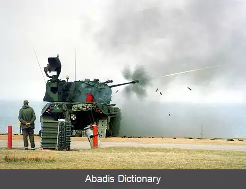 عکس فلاک پانتسر گپارت