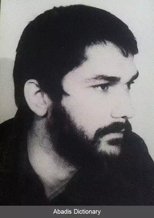 عکس اسلوبودان مارونوویچ