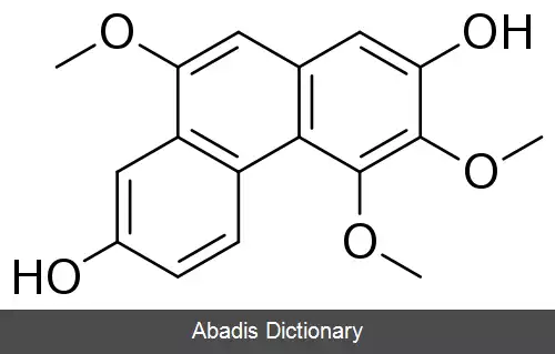 عکس فنانترنوئید