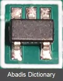 عکس زمان پای سگ نگهبان