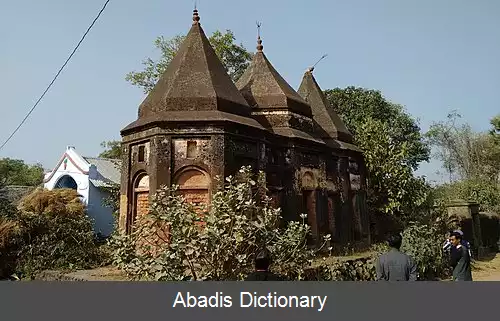 عکس دامکا