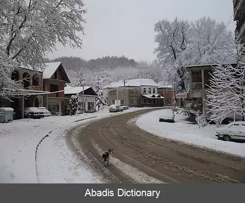 عکس دونگی دوشنیک