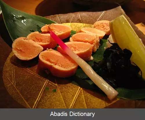 عکس منتایکو