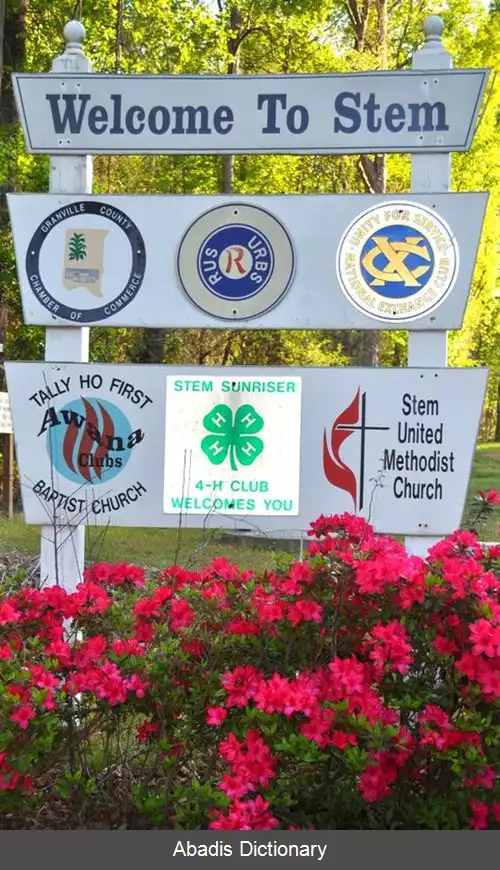 عکس استم کارولینای شمالی