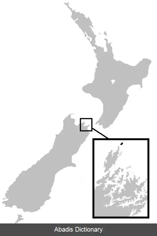 عکس قورباغه همیلتون