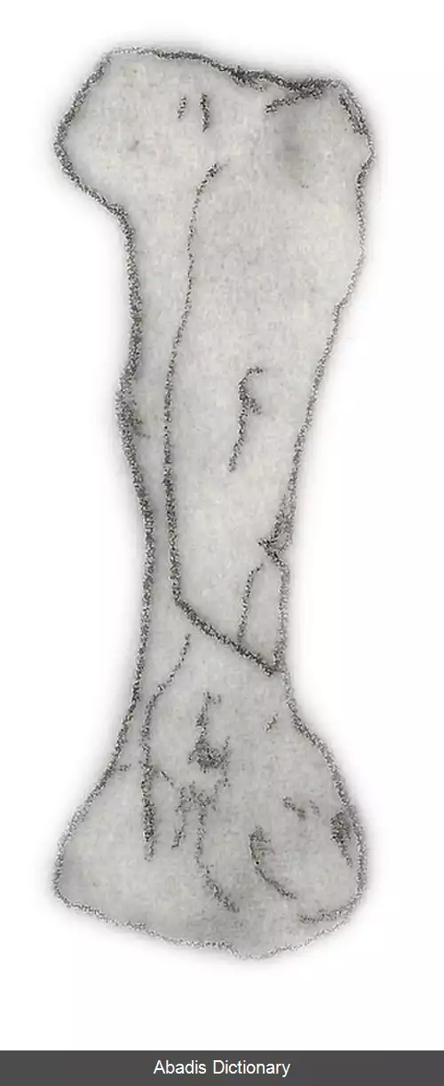 عکس نیوبراراسور