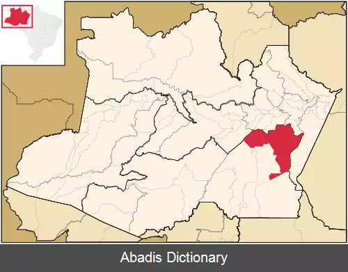 عکس بوربا (آمازوناس)