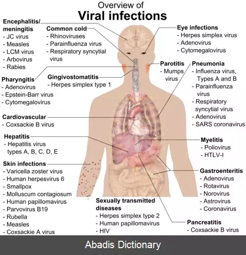 عکس فهرست داروهای ضد ویروس