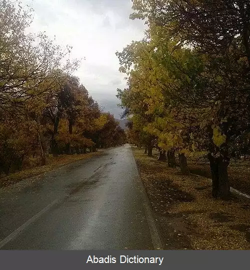 عکس سعیدیه (زبرخان)