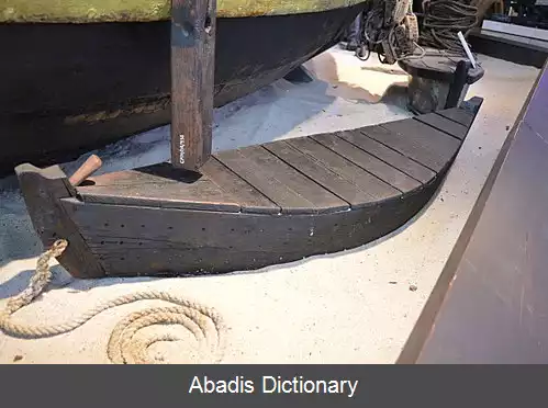 عکس چاهک زنده