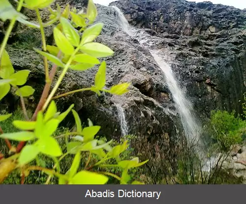 عکس استند جدید