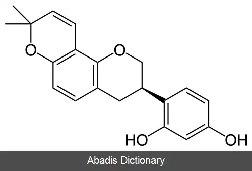 عکس گلابریدین