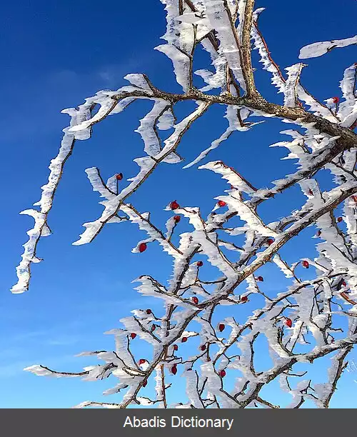 عکس سخت شدگی سرمایی