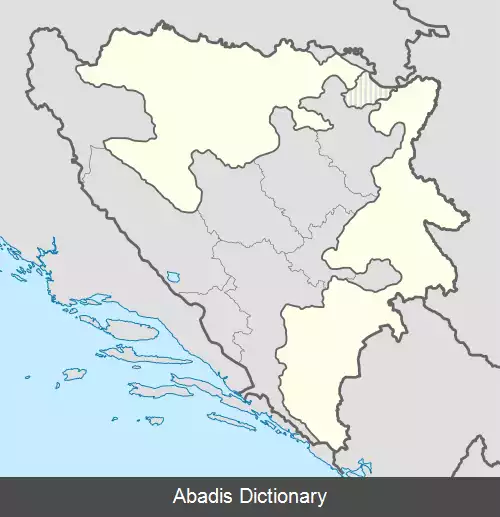 عکس دونگی ریبنیک