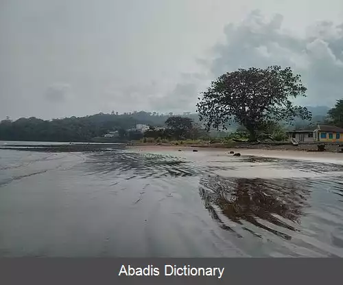 عکس ریابا