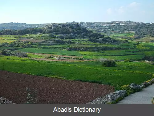 عکس بیدنیجا