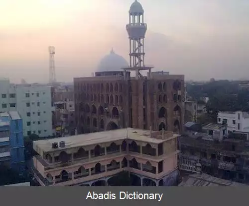 عکس برهمنبریا