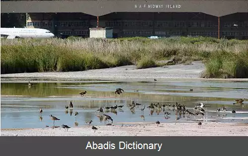 عکس فرودگاه صحرایی هندرسون