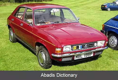 عکس آستین الرگو