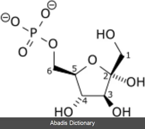 عکس فروکتوز ۶ فسفات