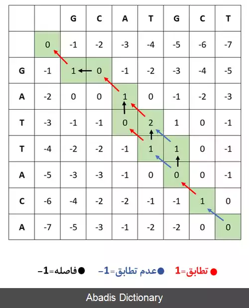 عکس الگوریتم نیدلمن وانچ