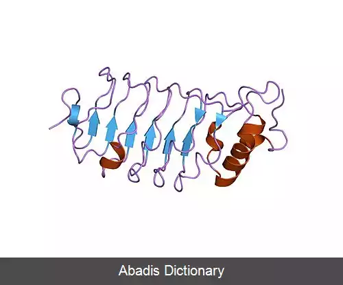 عکس تکرار غنی از لوسین