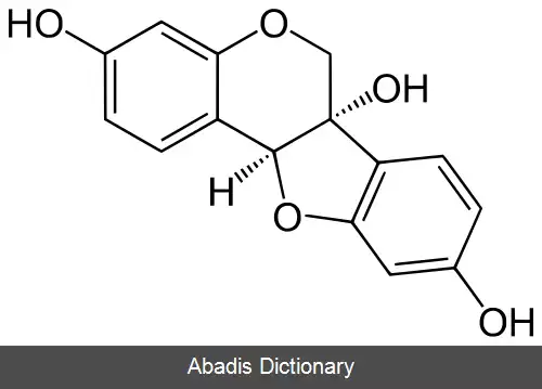 عکس گلیسینول (پتروکارپان)