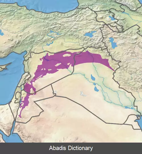 عکس استپ خاورمیانه