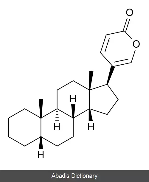 عکس بوفادی انولید