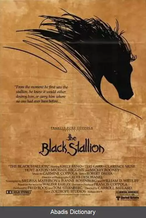 عکس اسب سیاه (فیلم ۱۹۷۹)