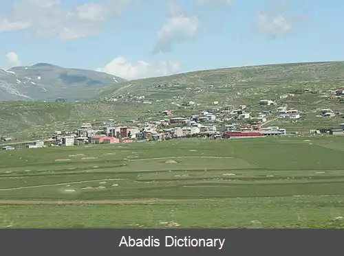 عکس دامال