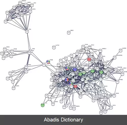 عکس شبکه پروتئین