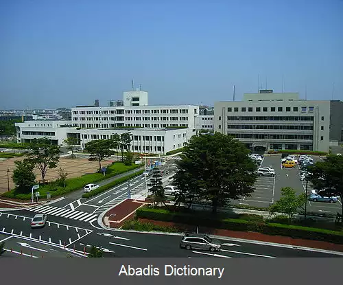عکس ایزومی کو سندای
